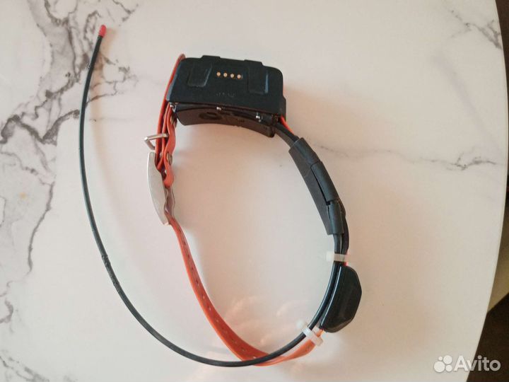 Garmin ошейник DC 50