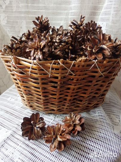 Шишки для рукоделия, декора и другого применения