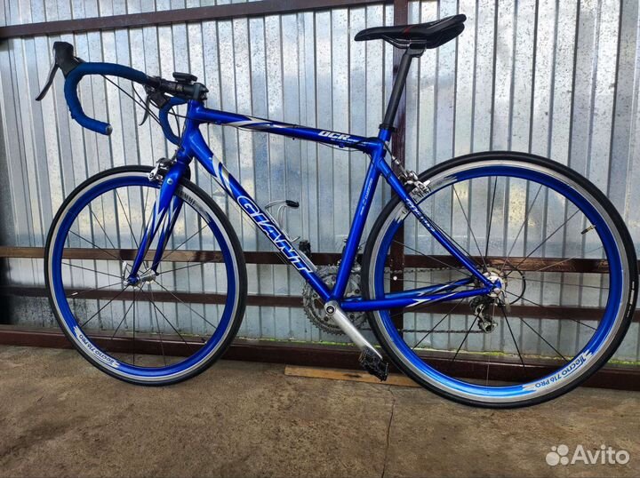 Giant OSR Special 28