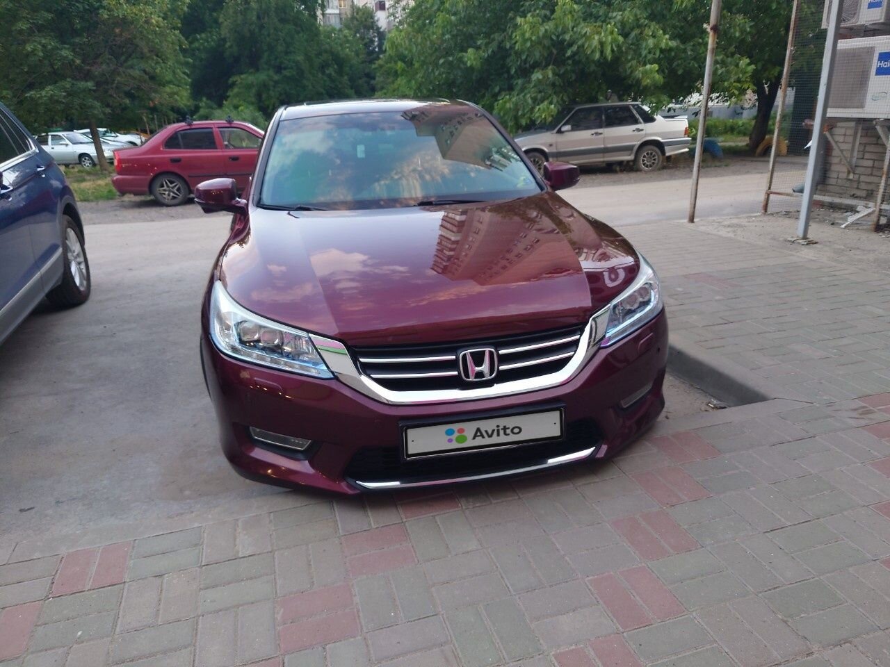 Honda Accord: фото владельца