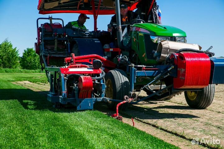 Рулонный газон с укладкой