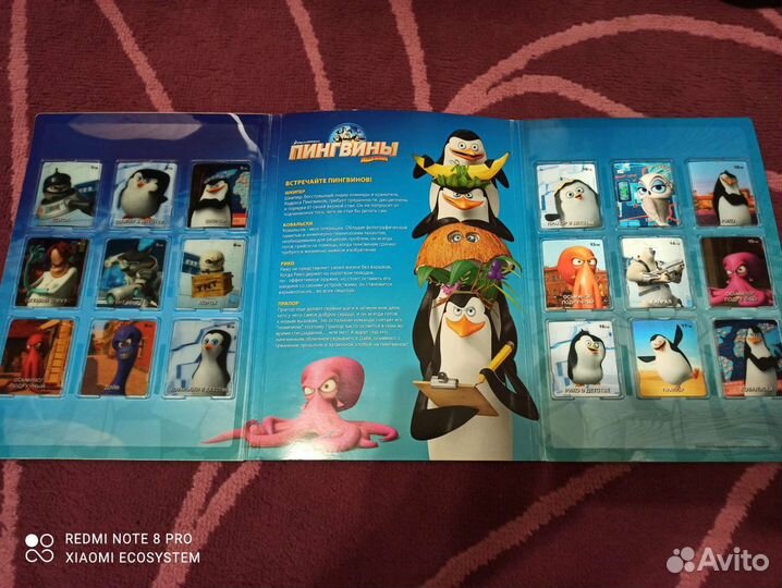 Коллекция магазина 