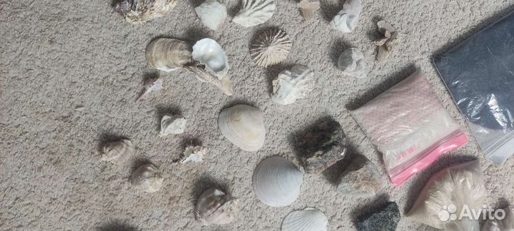 Ракушки, камни, песок