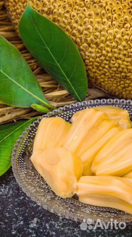 Джекфрут, индийское хлебное дерево