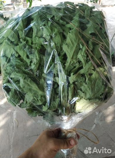 Веник из дуба для бани