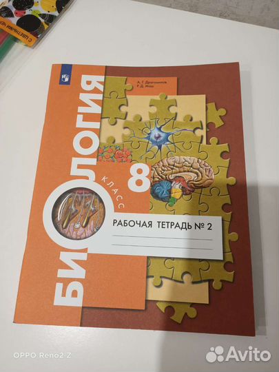 Рабочая тетрадь по биологии 8 класс