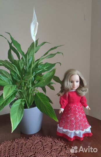 Одежда для куклы paola reina