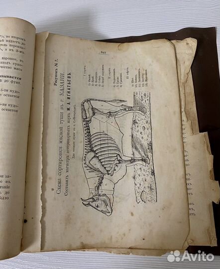 Практические основы кулинарного искусства 1909 год