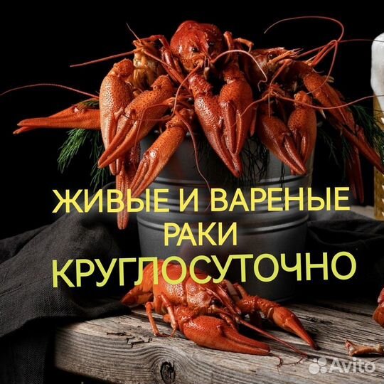 Раки Тюмень