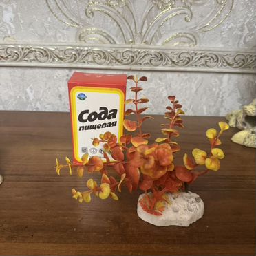 Коряги для аквариума