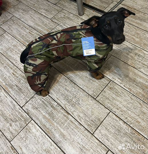Дождевик для собаки