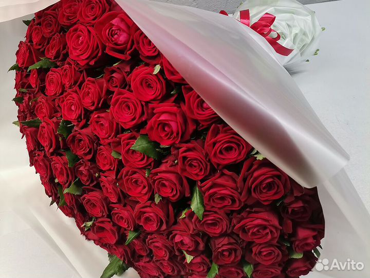 101 роза 51 31 25 15 Роза Цветы доставка