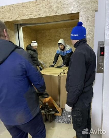 Грузчики