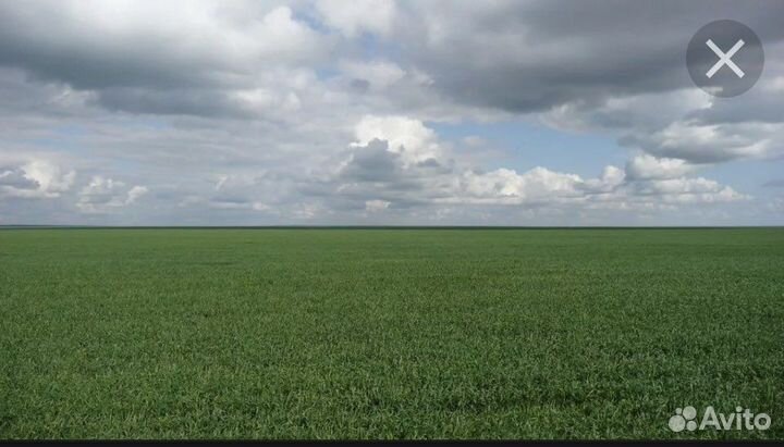 Очищая свои поля без штрафа