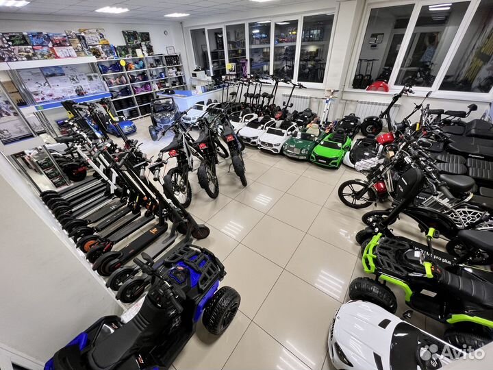 Электроскутер SkyBoard Trike BR80