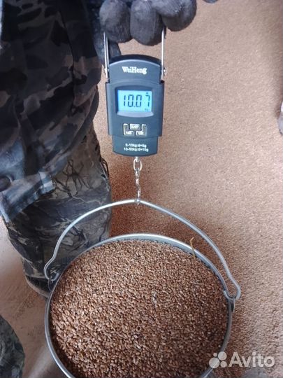 Продам пшеницу зерно