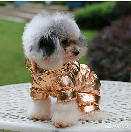 Комбинезон для собак /одежда для собак новый