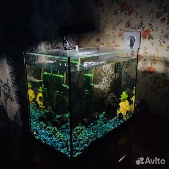 Готовый аквариум 20 литров