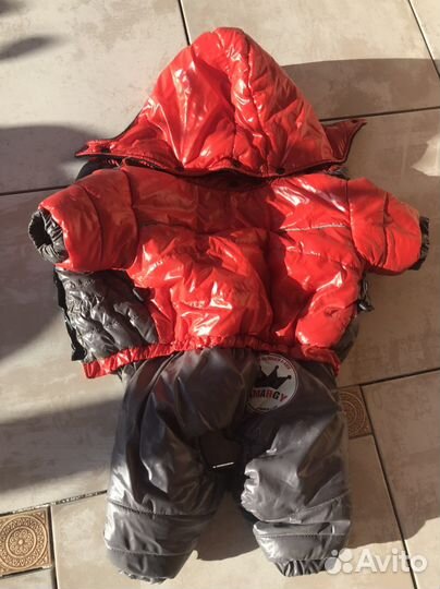 Одежда для собак