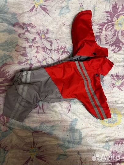 Дождевик для собак - комбинезон