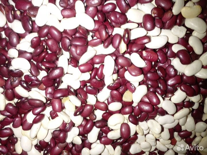 Половинки фасоли, отходы сои, чечевицы