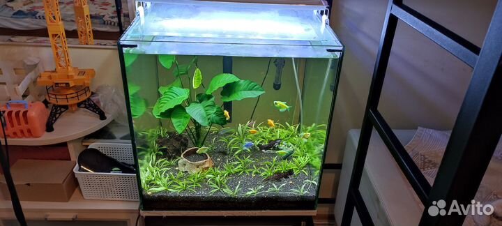 Аквариум 125 л