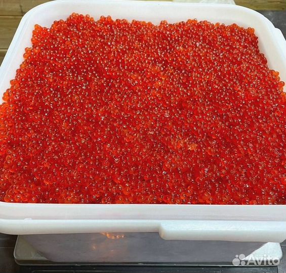 Икра красная кеты, июнь 2023 года
