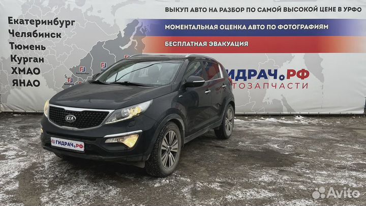 Петли двери багажника Kia Sportage (SL)