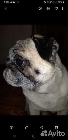 Вышивка крестиком готовая 45на45см