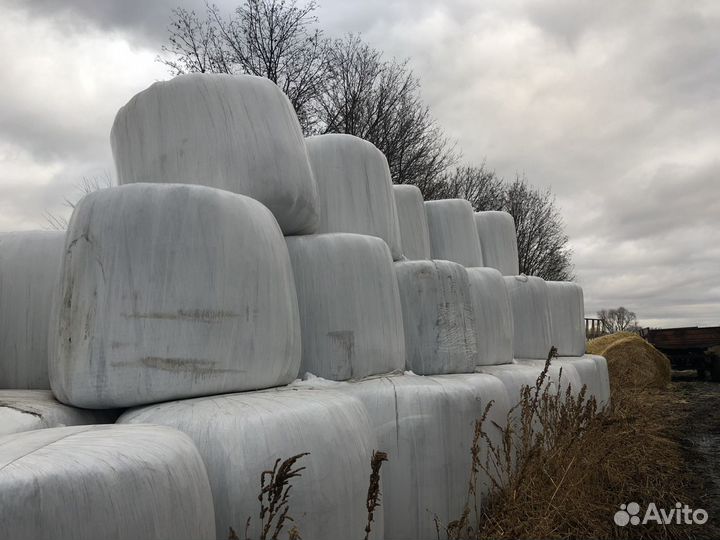 Сенаж, тюки