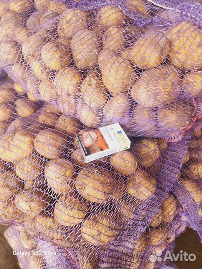 Доставка картошки