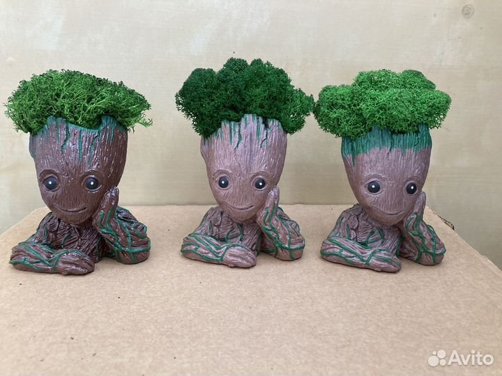 Кашпо Грут с мхом ягель