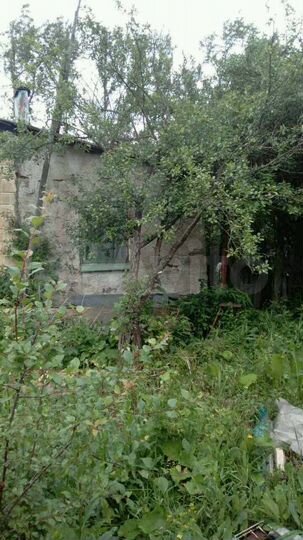 Дом 60 м² на участке 14 сот.