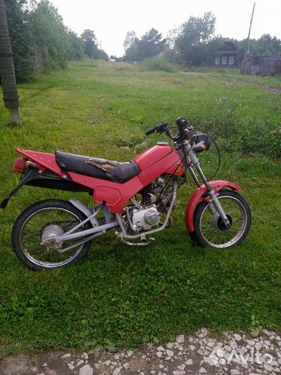 Зид пилот 50