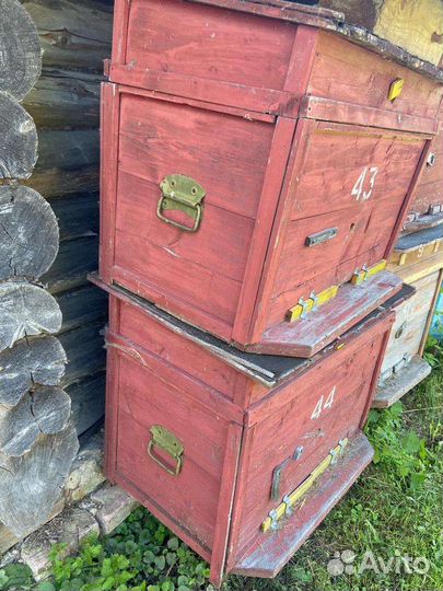 Улей для пчел