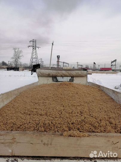 Пивная дробина