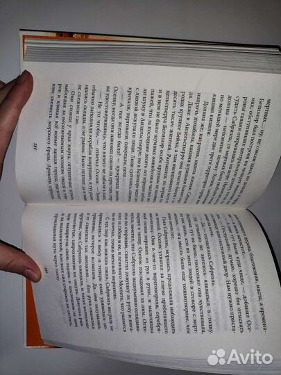 Книга Сабриэль Гарт Никс
