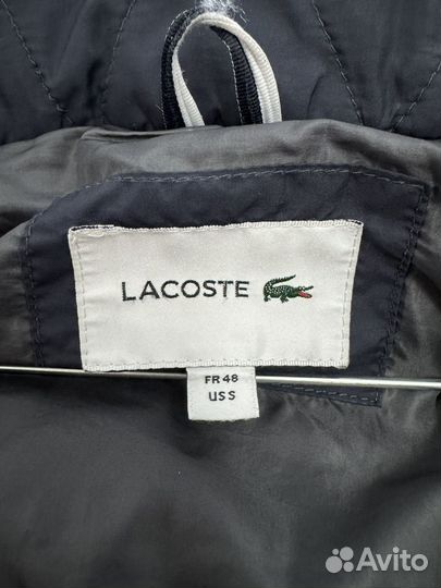 Пуховик мужской lacoste