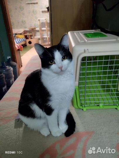 Мила шалунишка