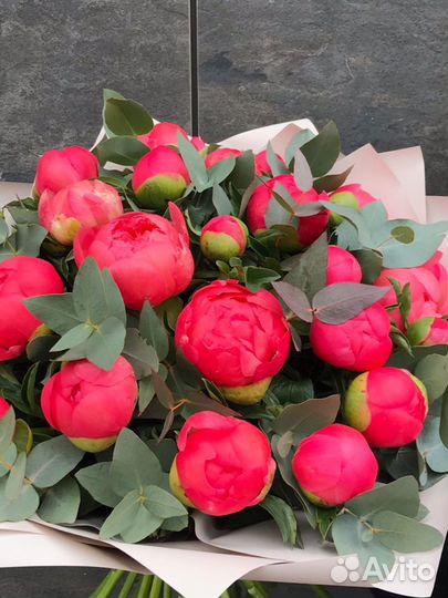 Пионы коралл сансет премиум букет доставка