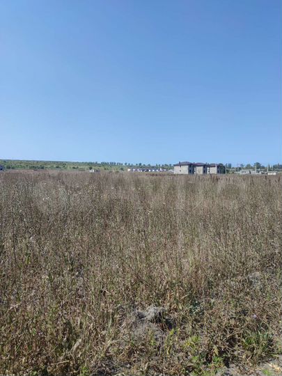 Участок 5 сот. (ИЖС)