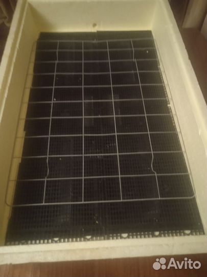 Инкубатор для яиц автоматический бу