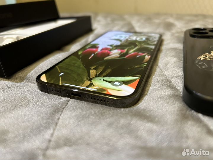 iPhone 13 Pro Max 256GB Grafit
