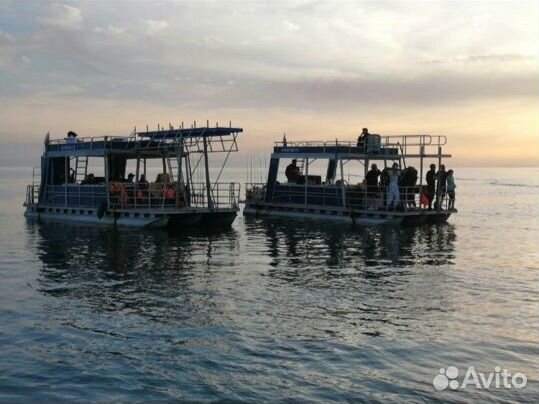 Рыбалка в море 3 часа Сочи, Адлер с уловом