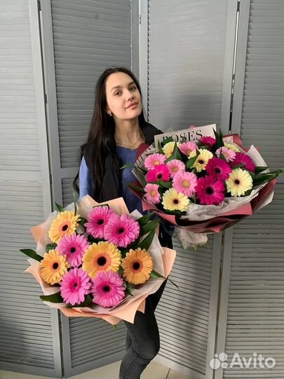 Герберы от производителя