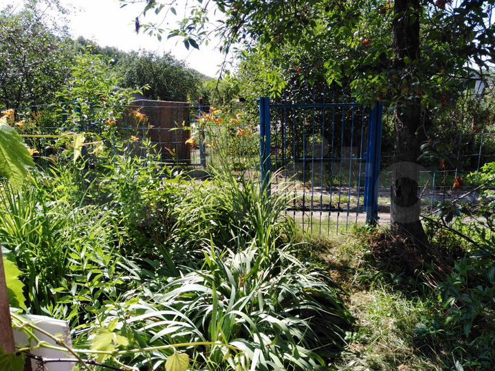 Дача 45 м² на участке 5 сот.