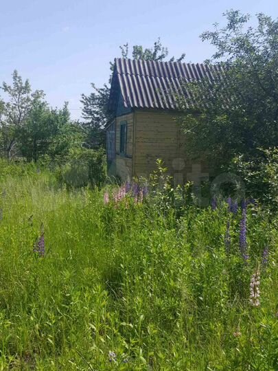 Дача 20 м² на участке 13 сот.