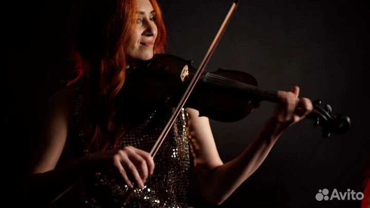 Скрипка на любой праздник