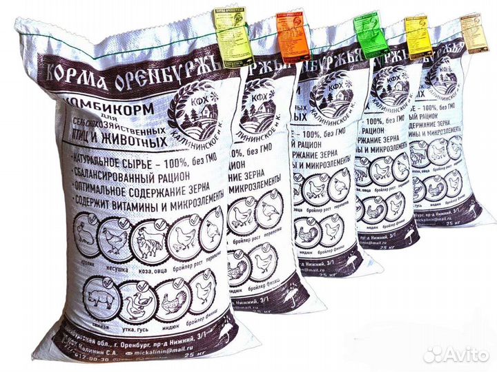 Богданович все виды