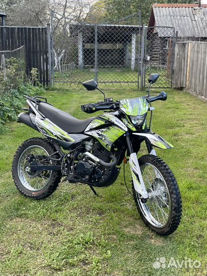 Racer Panther 300